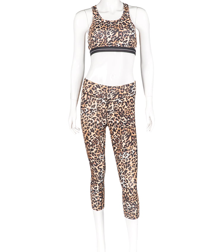 Women  leopard print high waist 2 piece fitness set workout pants yoga leggings gym sport wear 