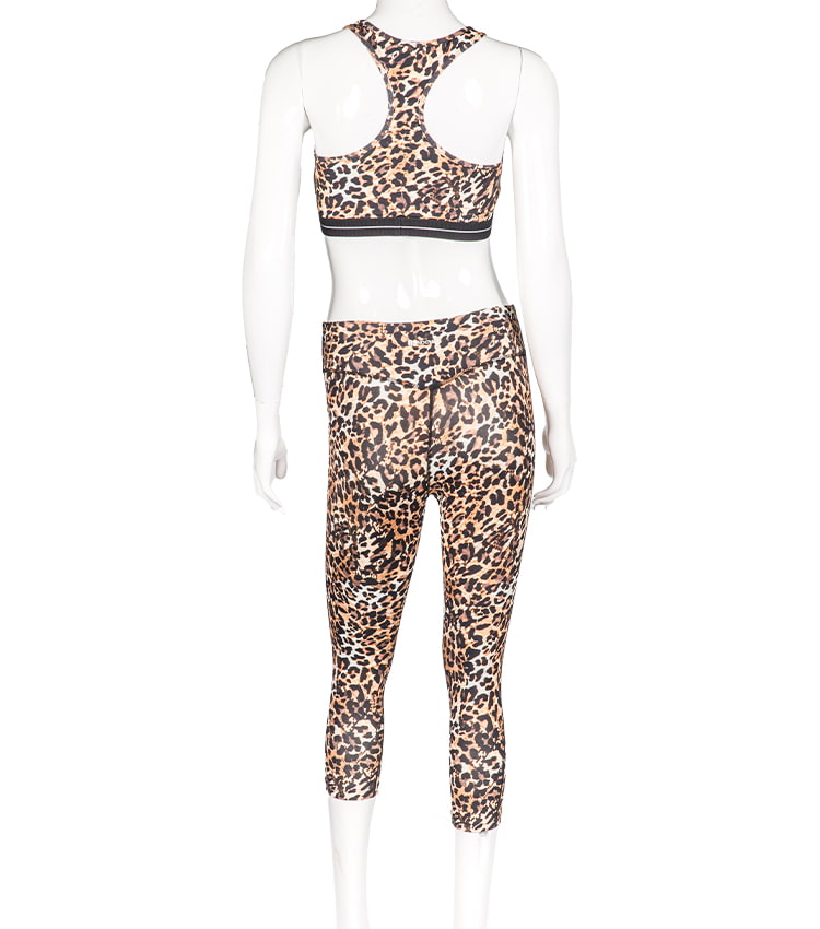 Women  leopard print high waist 2 piece fitness set workout pants yoga leggings gym sport wear 